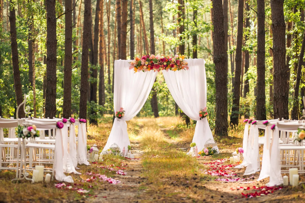 What to wear clearance to a forest wedding